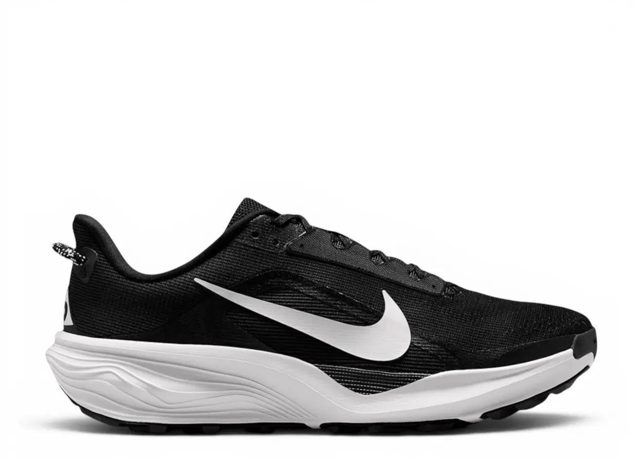 Nike ACG Pegasus Trail “Black Anthracite”